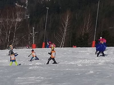 Obrázek 61966 