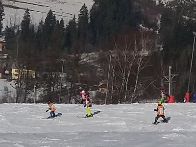 Obrázek 61967 