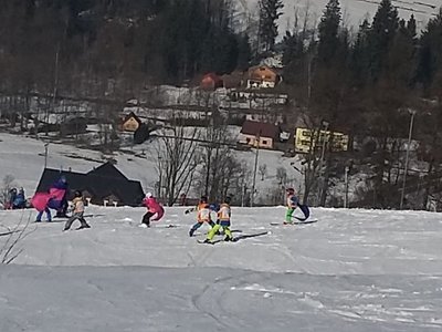 Obrázek 61968 
