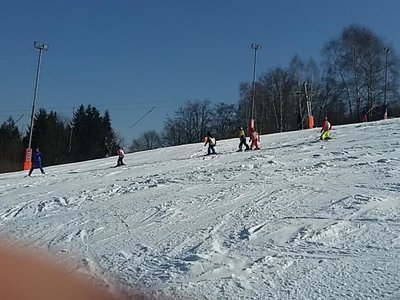 Obrázek 61971 