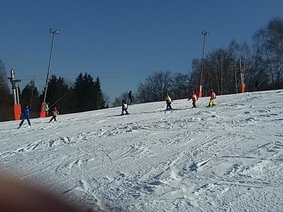 Obrázek 61972 