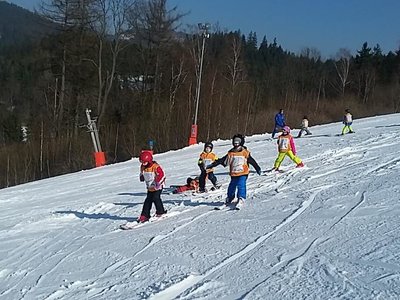 Obrázek 61975 