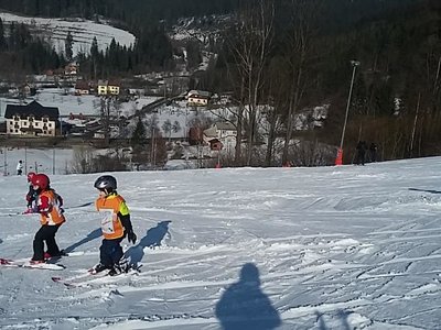 Obrázek 61976 