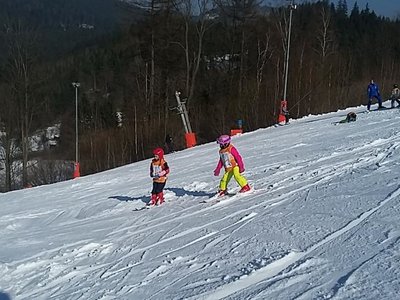 Obrázek 61977 