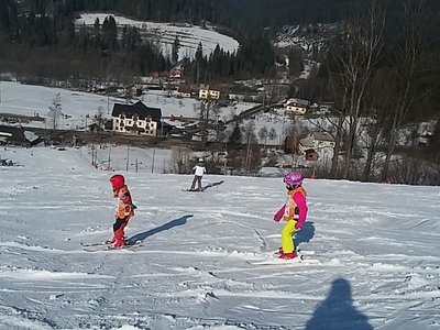 Obrázek 61978 