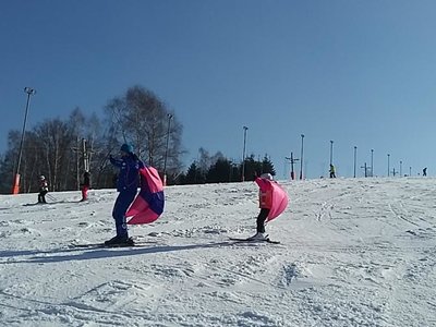 Obrázek 61981 