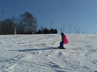 Obrázek 61982 