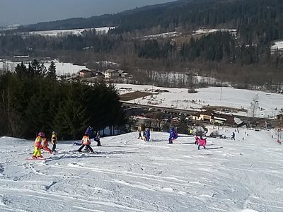 Obrázek 61986 