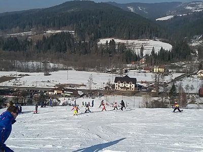Obrázek 61988 