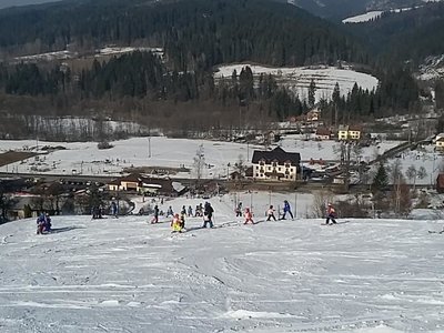 Obrázek 61989 