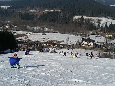 Obrázek 61990 