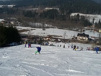 Obrázek 61991 