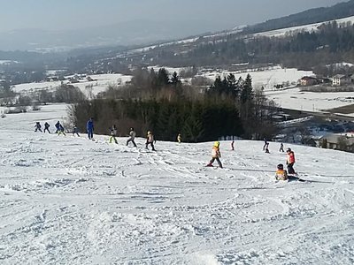 Obrázek 61993 