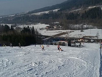 Obrázek 61994 