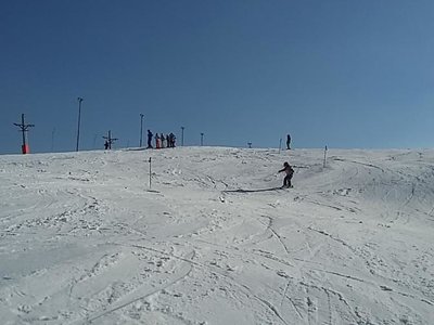 Obrázek 61995 