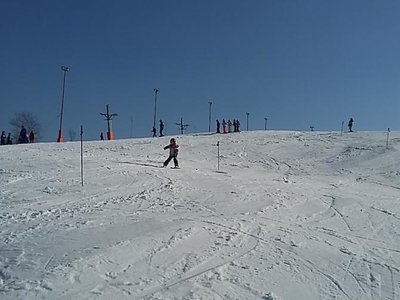 Obrázek 61996 