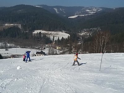 Obrázek 61998 