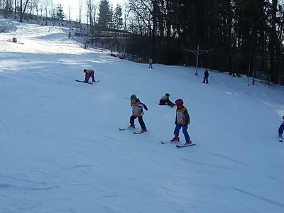 Obrázek 62002 