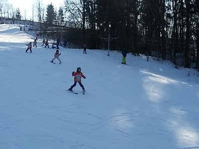 Obrázek 62005 