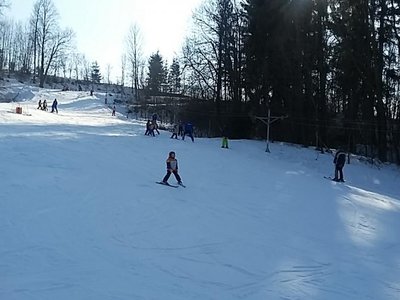 Obrázek 62006 
