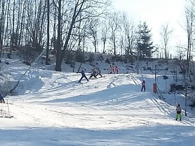 Obrázek 62015 