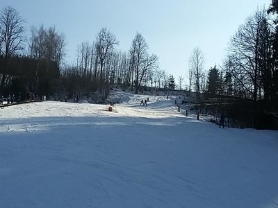Obrázek 62016 