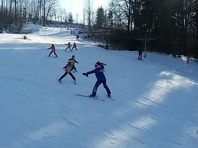 Obrázek 62017 