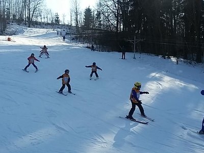 Obrázek 62018 