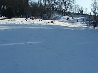 Obrázek 62029 