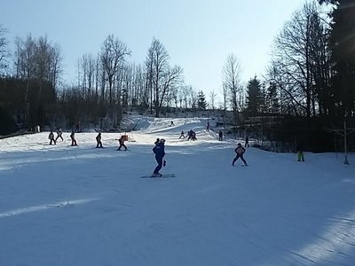 Obrázek 62031 
