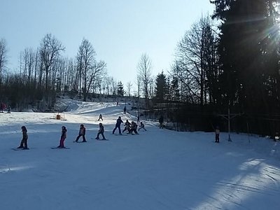 Obrázek 62033 