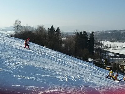 Obrázek 62043 