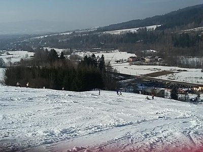 Obrázek 62048 