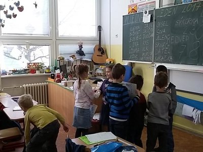 Obrázek 63121 