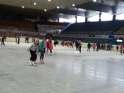 Obrázek 63272 