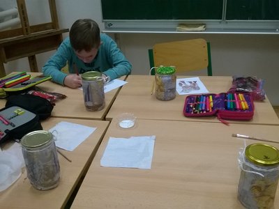 Obrázek 123174 