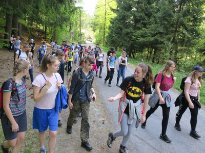 Obrázek 124042 
