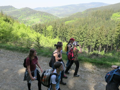 Obrázek 124049 