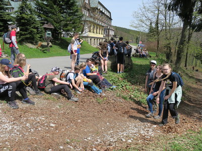 Obrázek 124052 