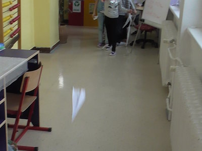 Kam doletí vlaštovka?