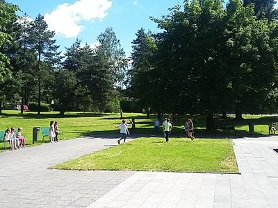 Obrázek 125359 