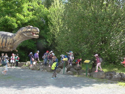 Obrázek 125427 