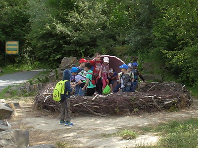 Obrázek 125425 