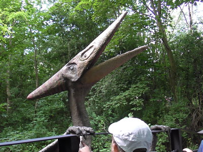 Obrázek 125432 