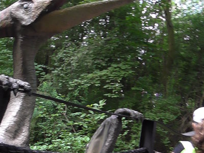 Obrázek 125433 