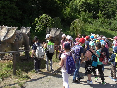 Obrázek 125435 