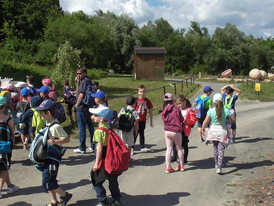 Obrázek 125436 