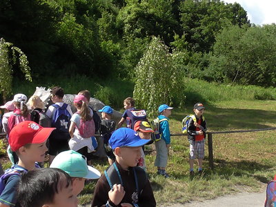 Obrázek 125441 