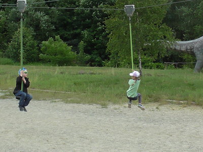 Obrázek 125460 