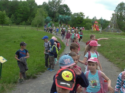 Obrázek 125491 